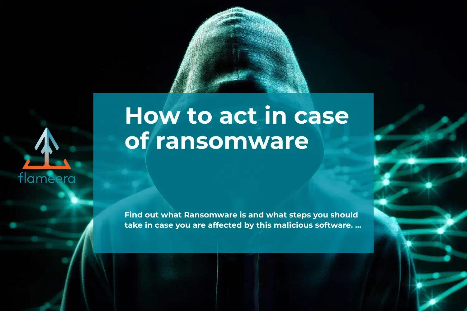 How to act in case of ransomware - Flameera